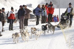 Lenk 2012 SM